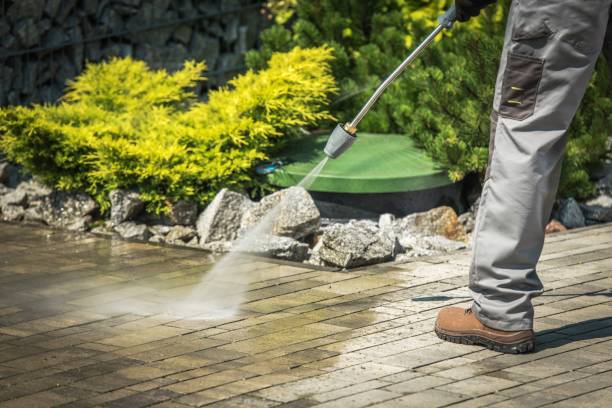 Best Sidewalk and Walkway Cleaning  in Poynette, WI